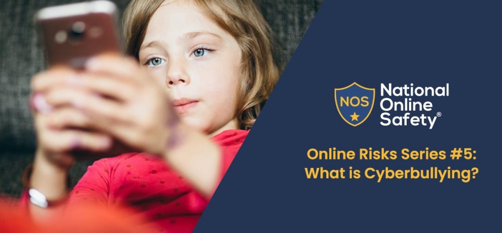 Online Risks Series #5: What is Cyberbullying?